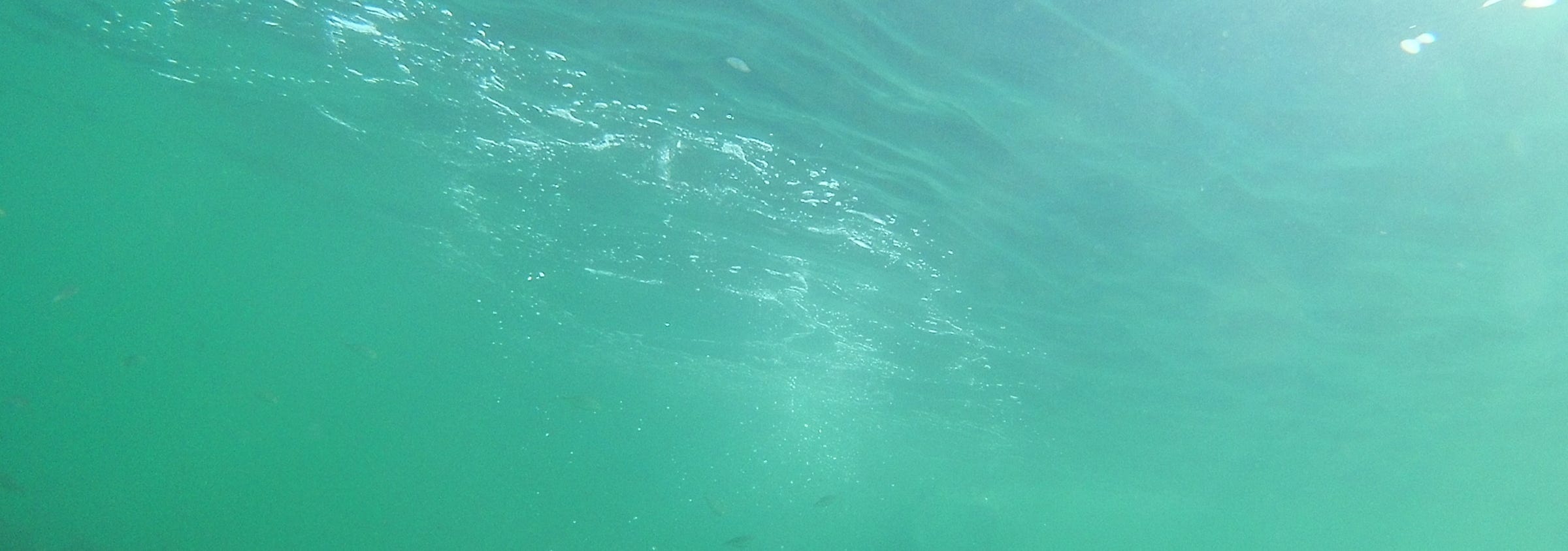 sea green water